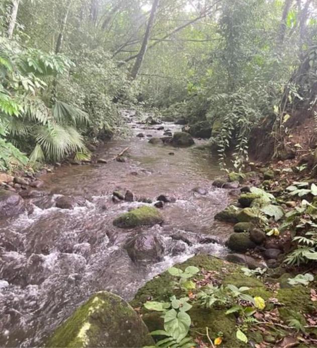 Sky Hostel La Fortuna المظهر الخارجي الصورة
