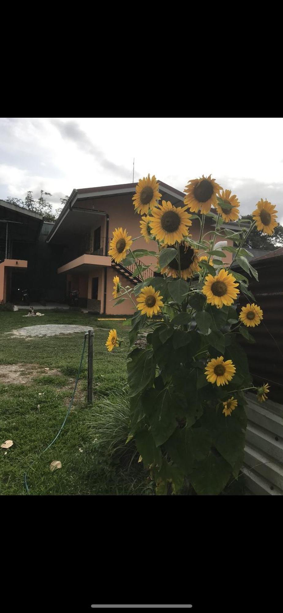 Sky Hostel La Fortuna المظهر الخارجي الصورة
